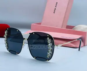 Original Niw Niw Lady Eye Wear Tinted Sunglasses in Store