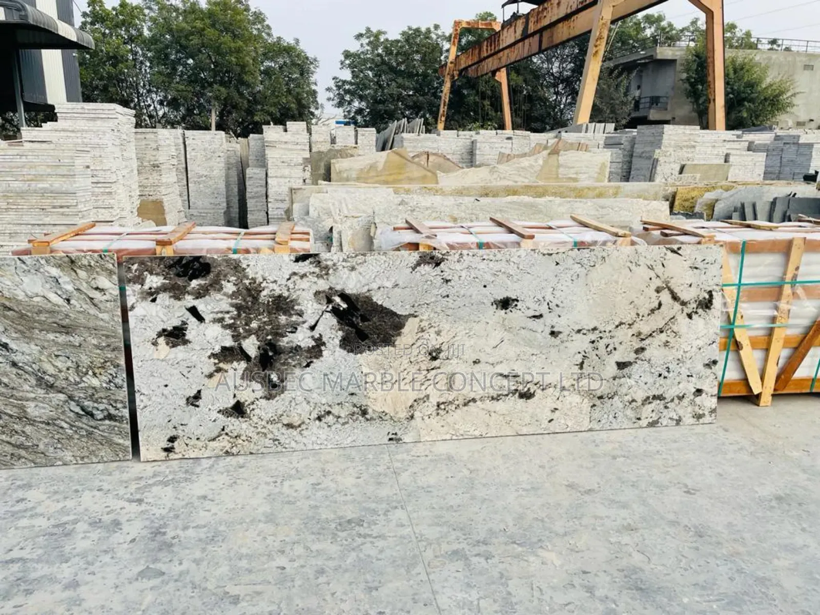 Exotic White Marble