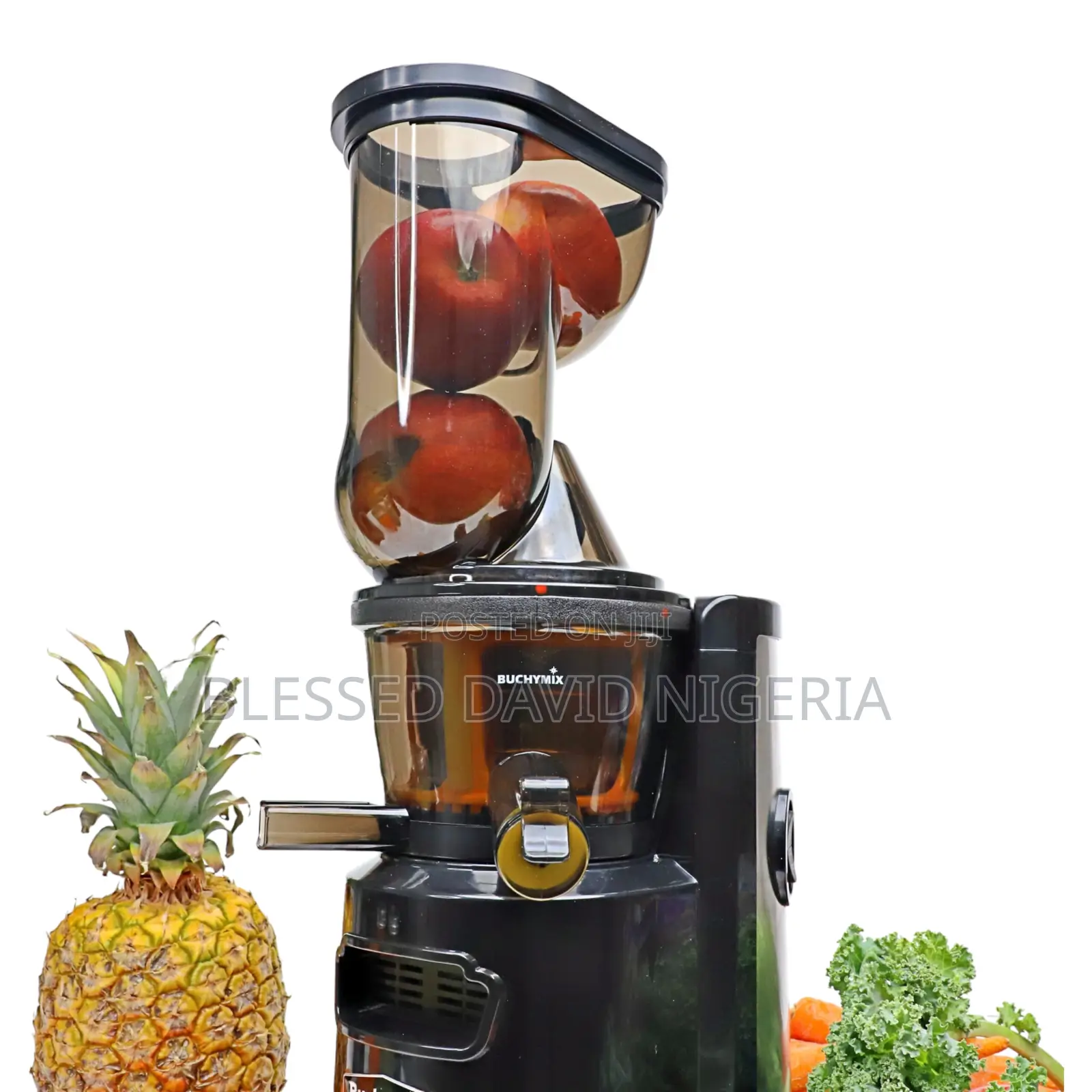 Premium Cold Pressed Slow Juicer Citrus Juicer Combo