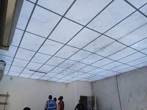 Stretch Ceiling