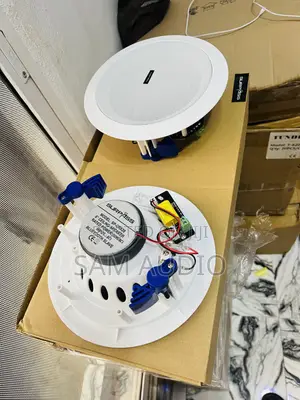 2 in 1surpass Bluetooth Ceiling Speaker