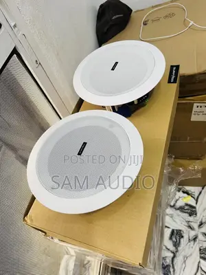 2 in 1surpass Bluetooth Ceiling Speaker