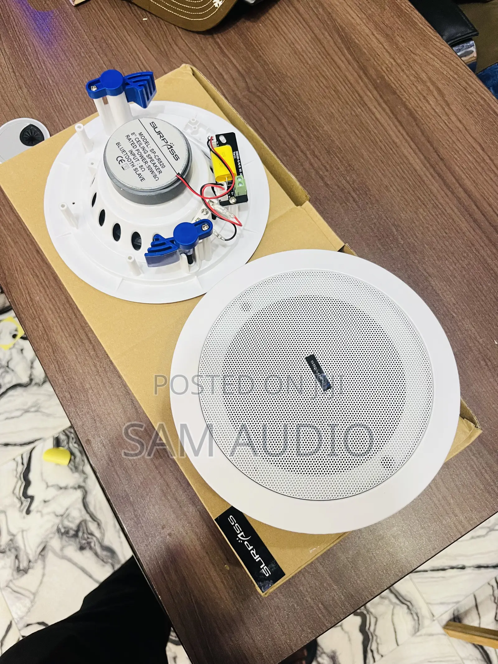 Two in One Surpass Bluetooth Ceiling Speaker