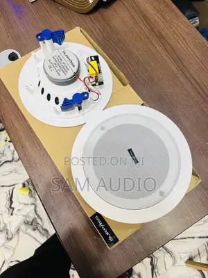 Two in One Surpass Bluetooth Ceiling Speaker