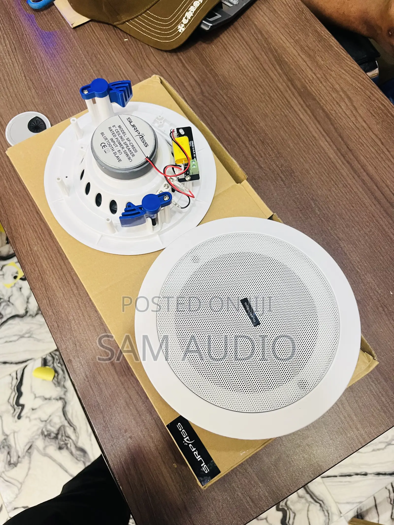 Two in One Surpass Bluetooth Ceiling Speaker