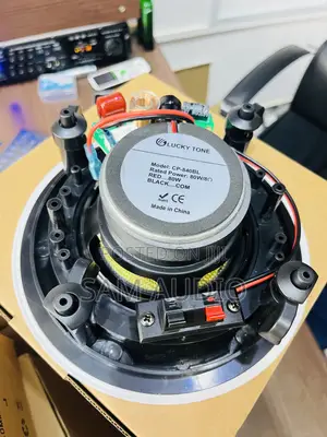 Lucky Tone 40watt Ceiling Speaker