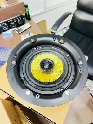 Lucky Tone 40watt Ceiling Speaker