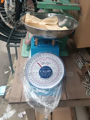 Camry 20kg Spring Scale