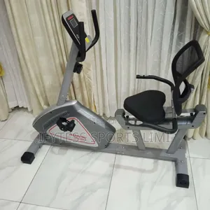 Recumbent Bike (4320)