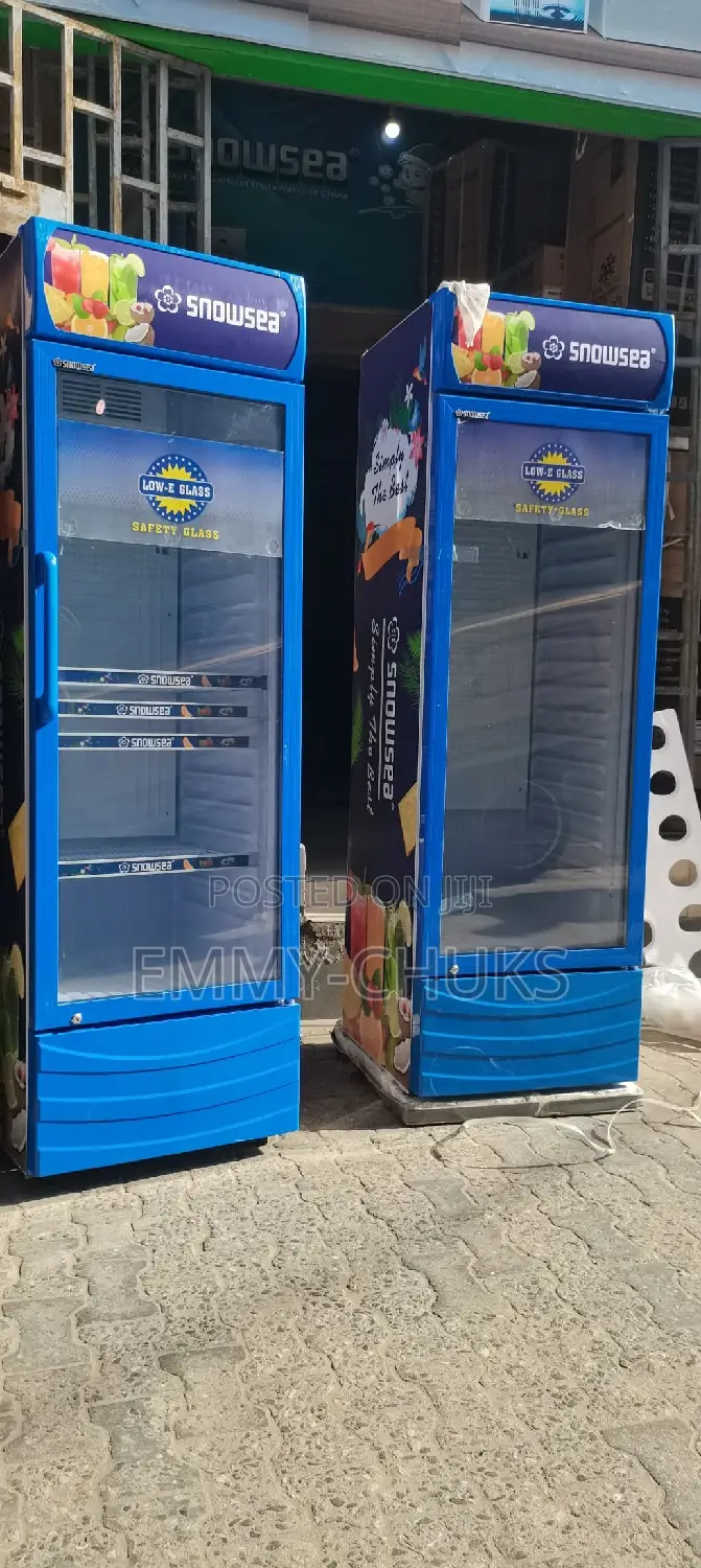 Fast Snowsea Chiller Refrigerator
