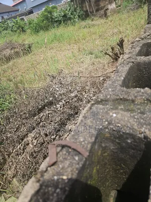 Fenced and Gated Land Ar New Bodija Ibadan
