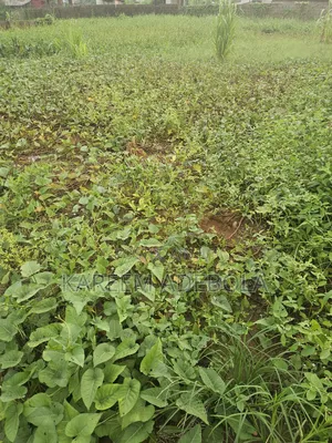 Available Land for Sale at Cameron Old Ikoyi Lagos