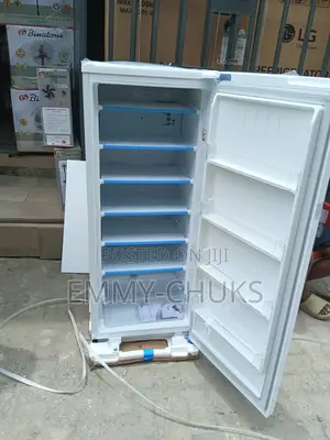 Fast Lg Upright Freezer