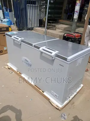 Bruhm 600L Double Door Freezer