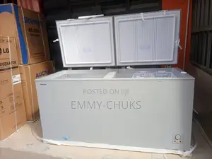 Hisense 600l Double Door Freezer