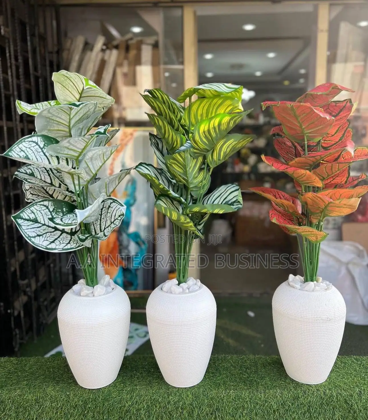 Affordable White Pot and Plant