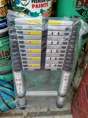 Telescoping Ladder 3.8 Meters (13fit)