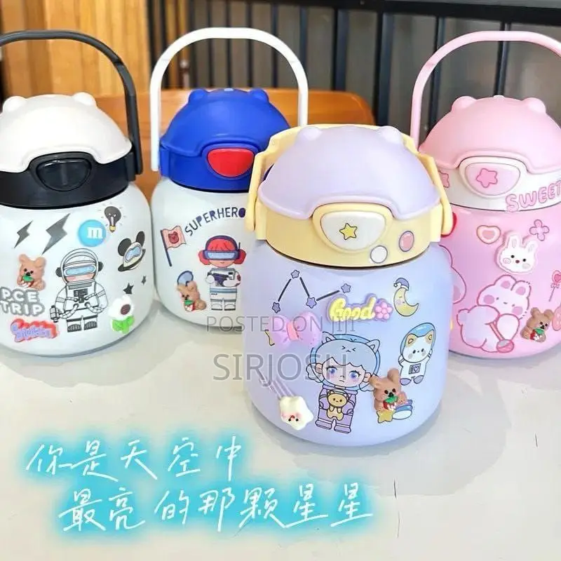 Insulated Flask