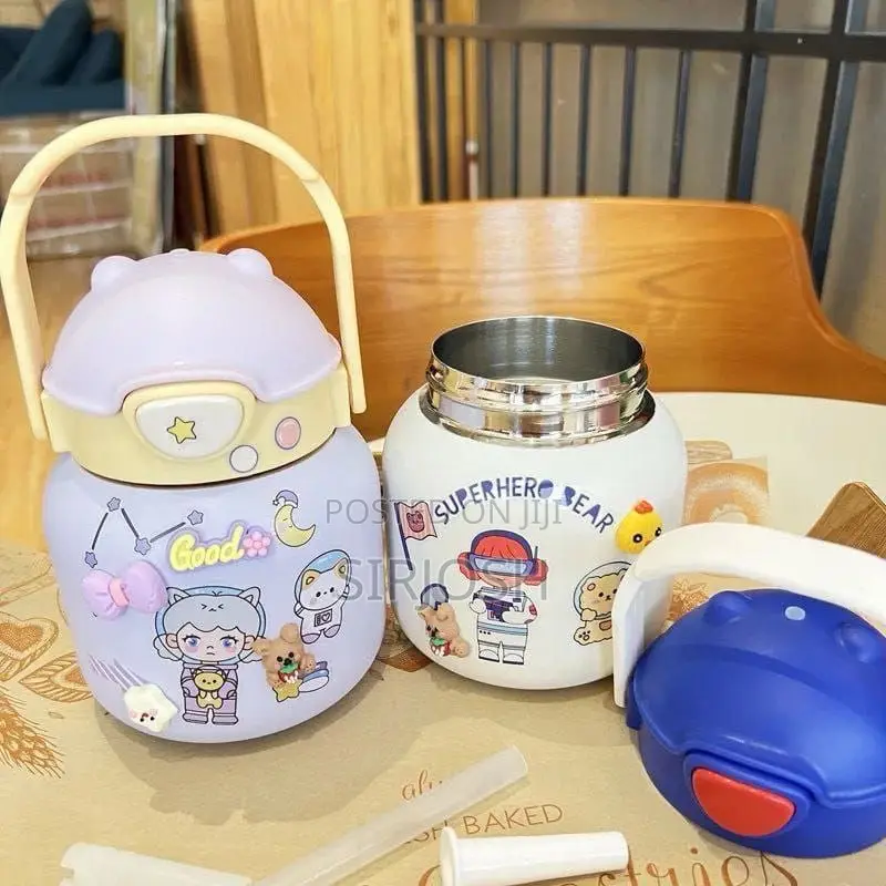 Insulated Flask