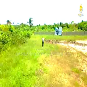Master Villa