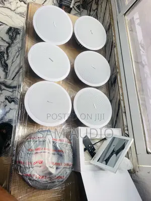 Alexa Inwall and Six Ceiling Speaker