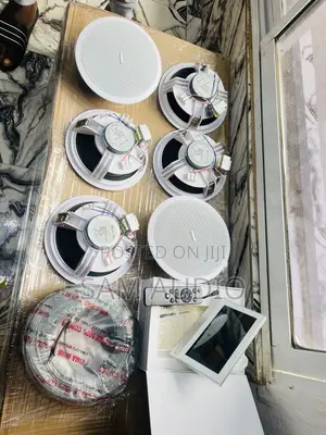 Alexa Inwall and Six Ceiling Speaker