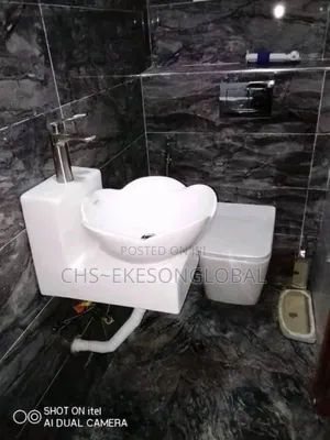 Luxury Wall Hung W-hand Basin