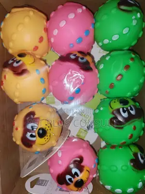 Pet Toy Balls