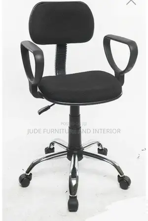 Executive Potable Office Chair