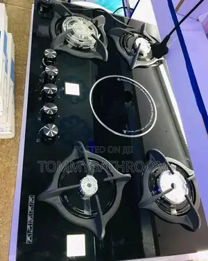 Gas and Electric Burner