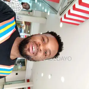 Adedayo CV