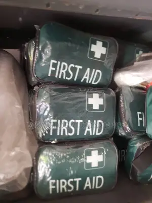 First Aid Hand Bag With Kit