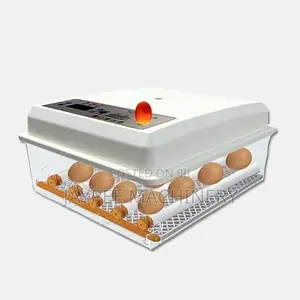 30 Eggs Incubator