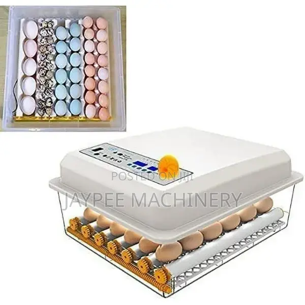 30 Eggs Incubator