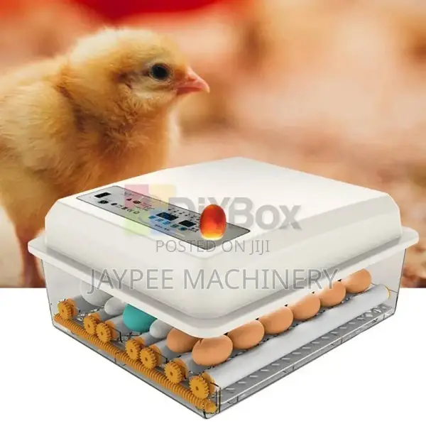30 Eggs Incubator