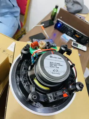 Quality Limeless Ceiling Speakers