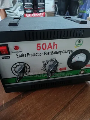50A Famicare Battery Charger
