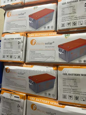 200a 12v Felicity Dry Cell Battery