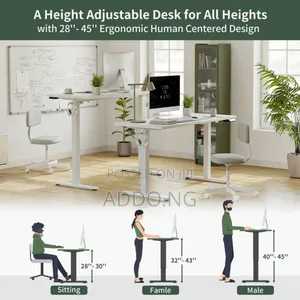 Home and Office Electric Adjustable Desk 1.2 Meter