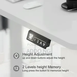 Sit to Stand Electric Adjustable Desk 1.2 Meter