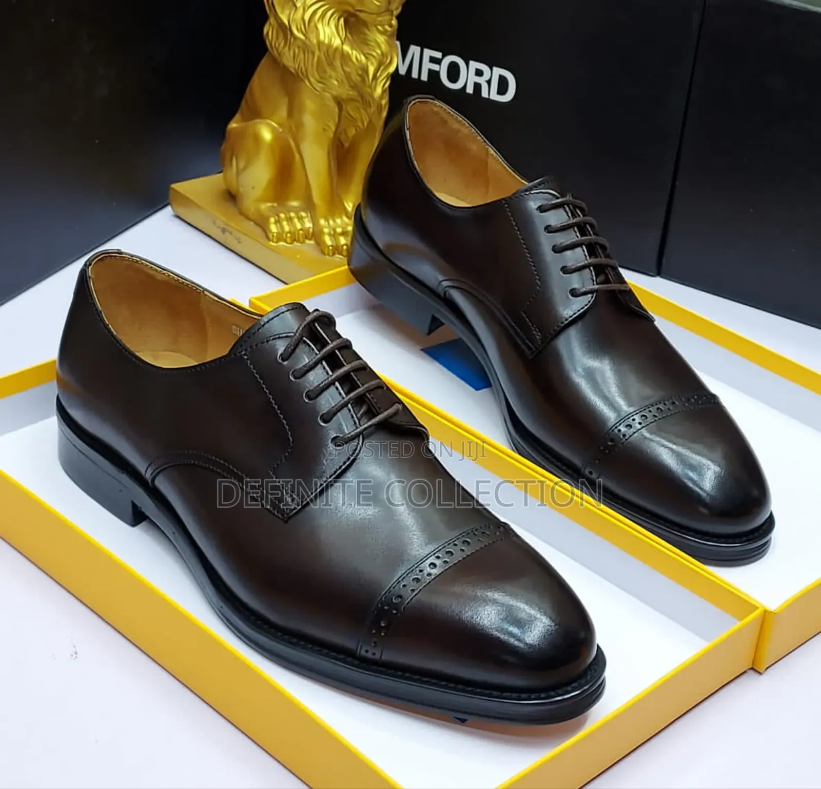 Tomford Premium Luxury Shoe