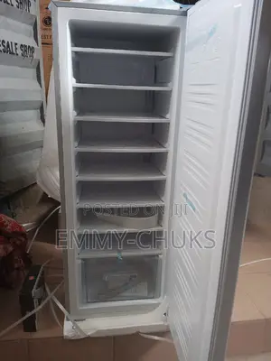 Ice Block Upright Freezer