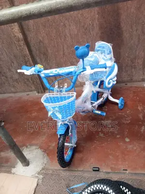 Blue Intact 12inches Bike