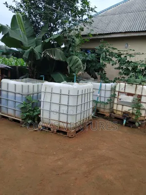 Catfish Farming