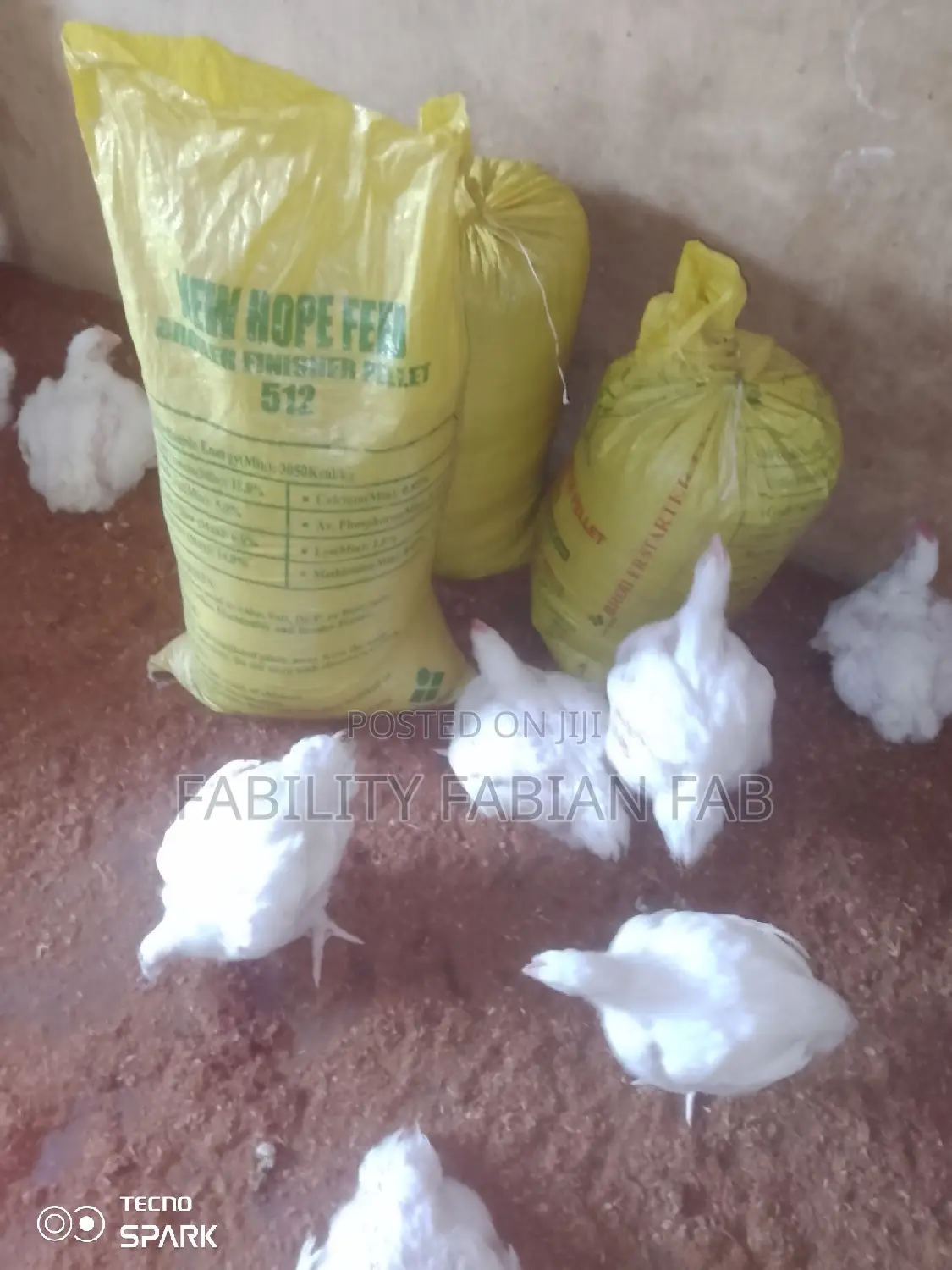 Chicken Manure