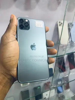Apple iPhone 11 Pro Max 256 GB Black