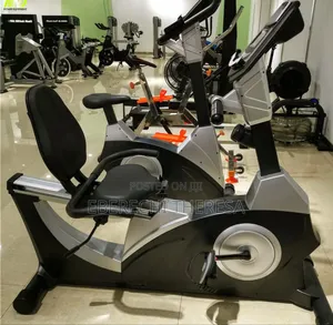 Commercial Recumbent Bike
