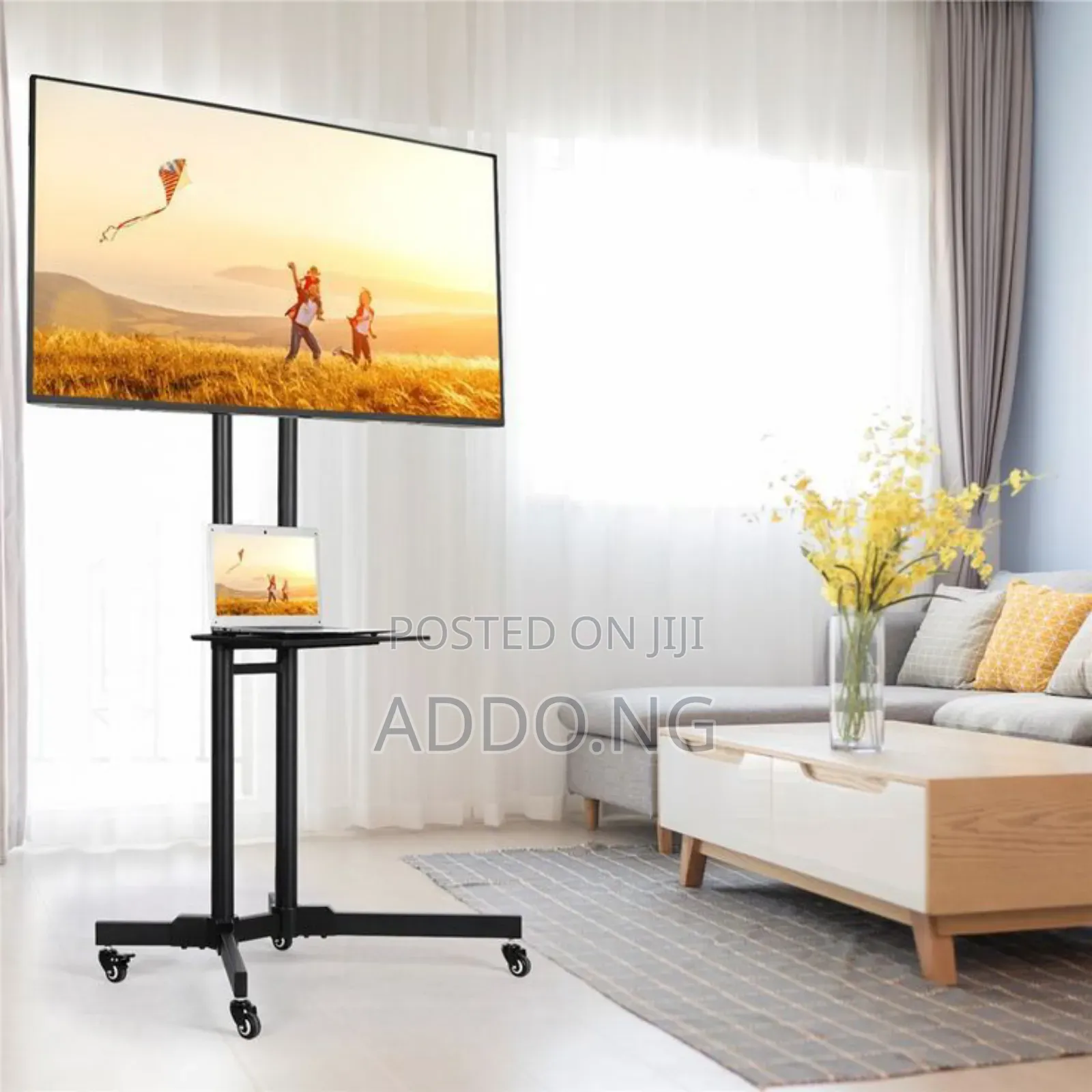 Moveable Television Hanger With Wheels