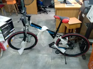 Adult Sports Bike