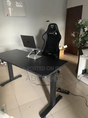 Home and Office Electric Adjustable Desk With Gaming Chair